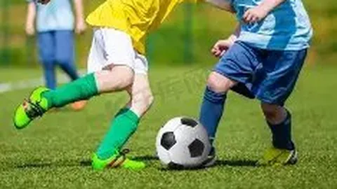 pg286娱乐平台 产品 002922 fr3